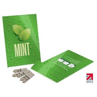 Promotional Branded Gloss Paper Seed Packet Envelopes - Medium